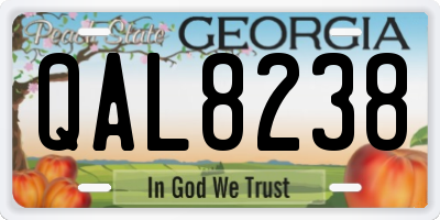 GA license plate QAL8238