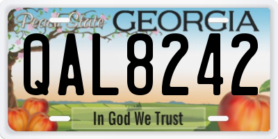 GA license plate QAL8242