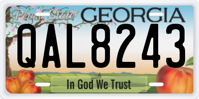 GA license plate QAL8243