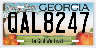 GA license plate QAL8247