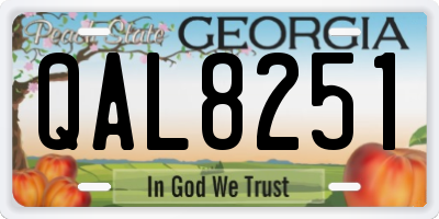 GA license plate QAL8251