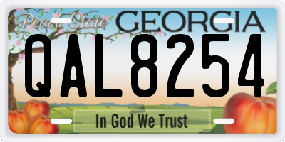 GA license plate QAL8254