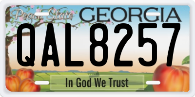 GA license plate QAL8257