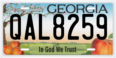 GA license plate QAL8259