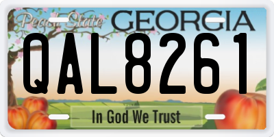 GA license plate QAL8261