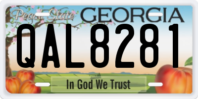 GA license plate QAL8281