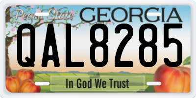 GA license plate QAL8285