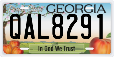 GA license plate QAL8291