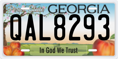 GA license plate QAL8293