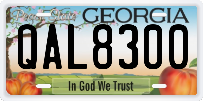 GA license plate QAL8300