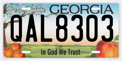GA license plate QAL8303