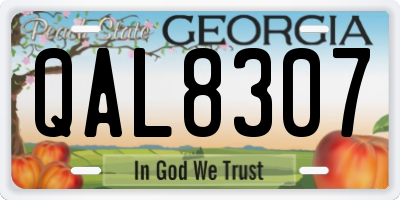 GA license plate QAL8307
