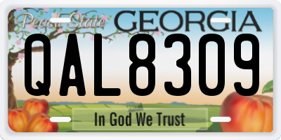 GA license plate QAL8309