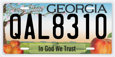GA license plate QAL8310