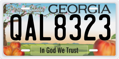 GA license plate QAL8323