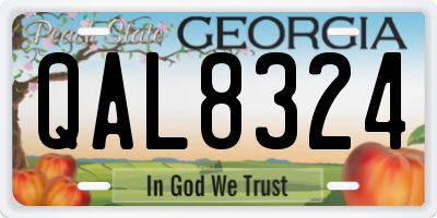 GA license plate QAL8324