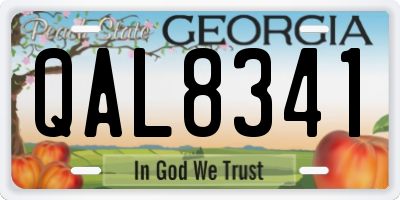 GA license plate QAL8341
