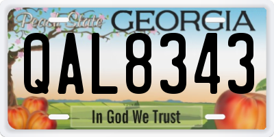 GA license plate QAL8343
