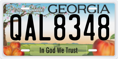 GA license plate QAL8348
