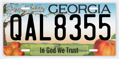 GA license plate QAL8355