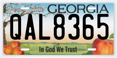 GA license plate QAL8365