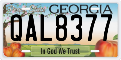 GA license plate QAL8377