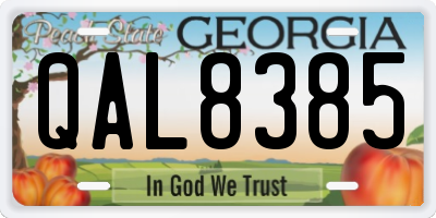 GA license plate QAL8385