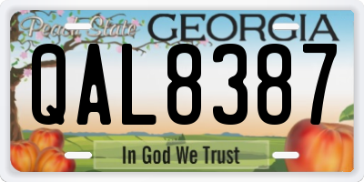 GA license plate QAL8387