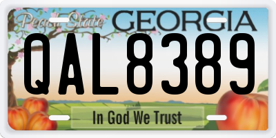 GA license plate QAL8389