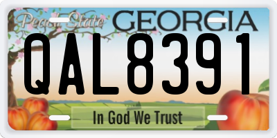GA license plate QAL8391