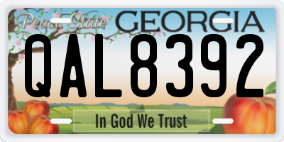 GA license plate QAL8392