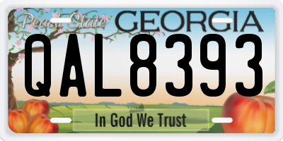 GA license plate QAL8393