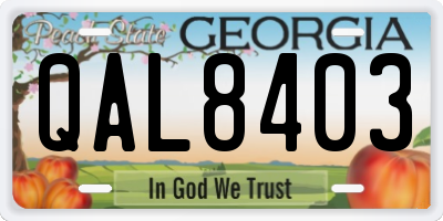 GA license plate QAL8403