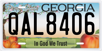 GA license plate QAL8406