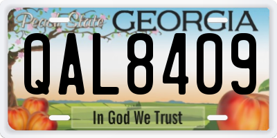 GA license plate QAL8409