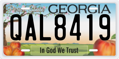 GA license plate QAL8419