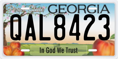 GA license plate QAL8423