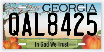 GA license plate QAL8425