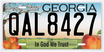 GA license plate QAL8427