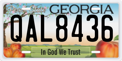 GA license plate QAL8436