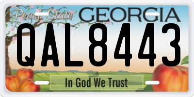 GA license plate QAL8443