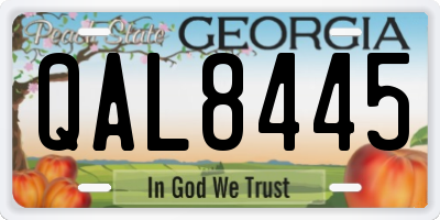 GA license plate QAL8445