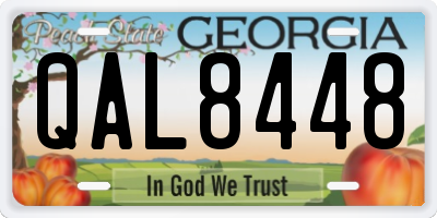 GA license plate QAL8448