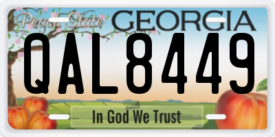 GA license plate QAL8449