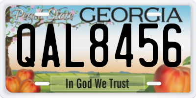 GA license plate QAL8456