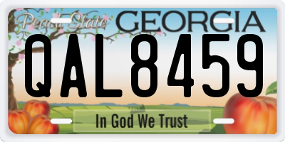 GA license plate QAL8459