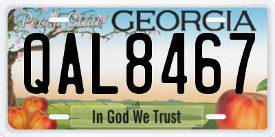 GA license plate QAL8467