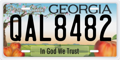 GA license plate QAL8482