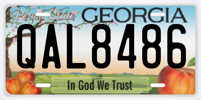 GA license plate QAL8486