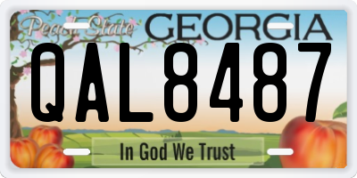 GA license plate QAL8487